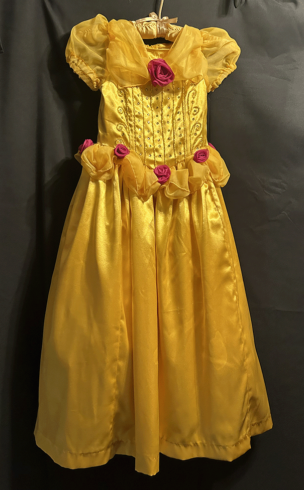 Photo Belle princess dress for a 5-year-old